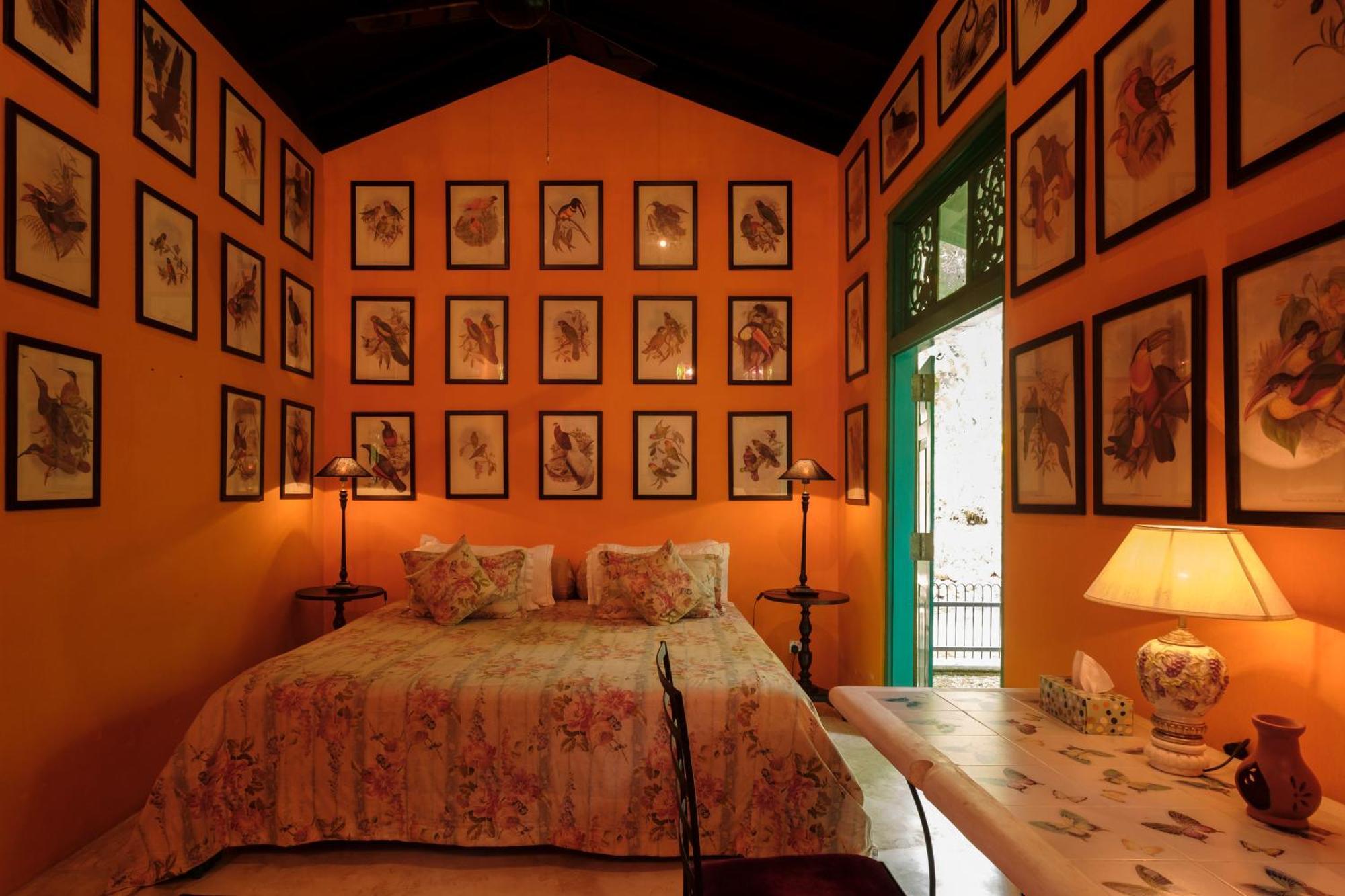 Casa Heliconia Otel Gampaha Dış mekan fotoğraf